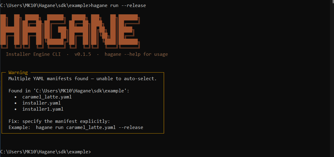Multiple YAML files detected — Hagane warns and exits